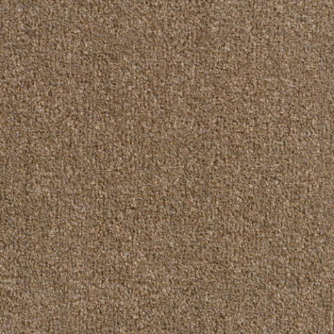 Revolution Carpet by Condor
