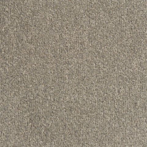 Revolution Carpet by Condor