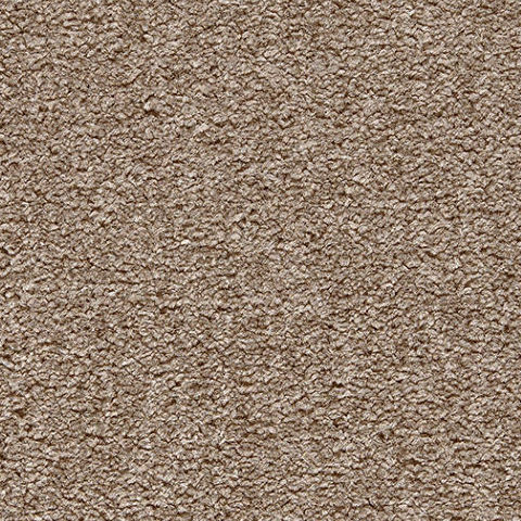 Stainsafe Shepherd Twist Carpet by Balta