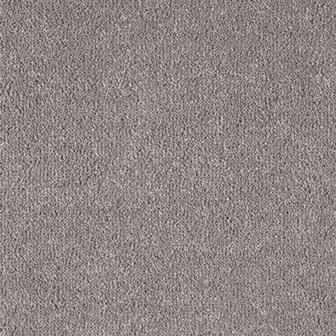 Genius Carpet by Lano