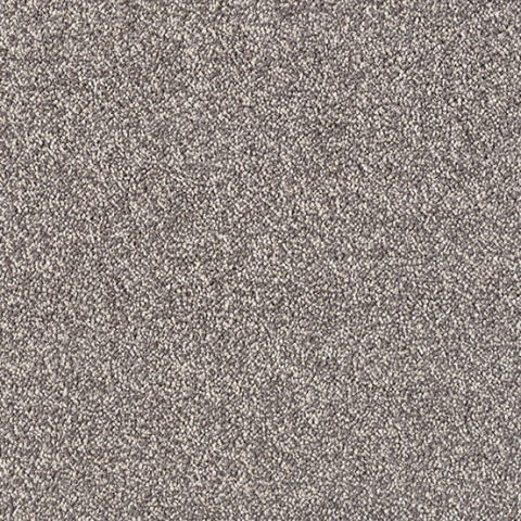 Genius Carpet by Lano